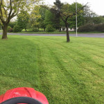 grass cutting