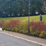 grounds maintenance