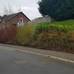 hedge cutting