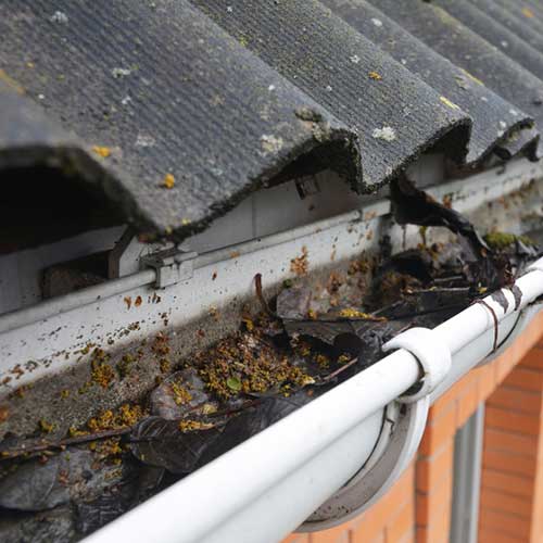 guttering-clearance-link